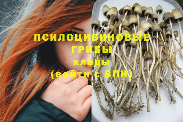синтетический гашиш Инта