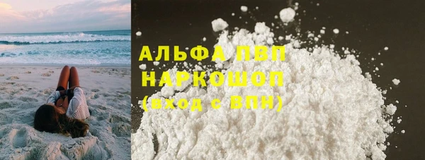 стаф Иннополис